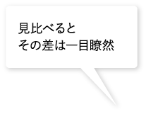 見比べるとその差は一目瞭然 見比べるとその差は一目瞭然