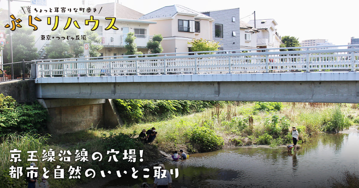 つつじヶ丘 京王線沿線の穴場 都市と自然のいいとこ取り Relife Mode リライフモード くらしを変えるきっかけマガジン