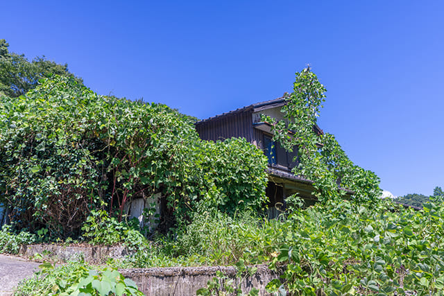 草に埋もれた家