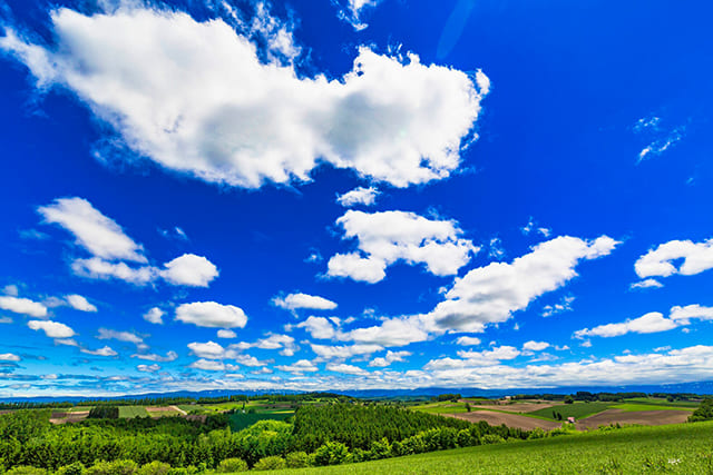 北海道の初夏の青空