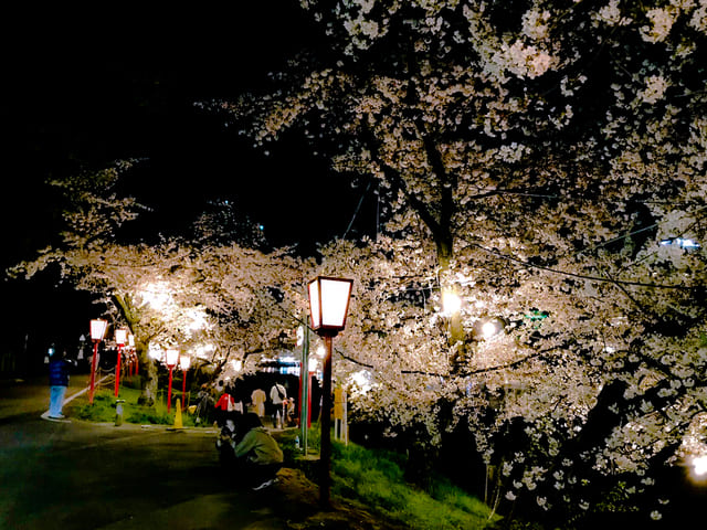 岡崎公園前駅 大きな川を中心に 人と自然がつながる街 Relife Mode リライフモード くらしを変えるきっかけマガジン