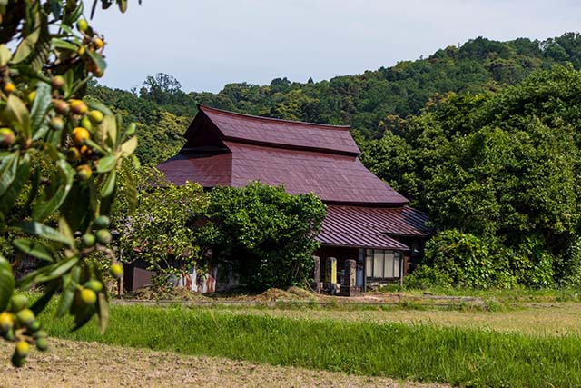 ゆずの木と古民家