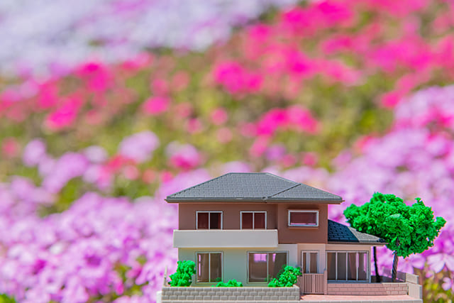 一戸建ての模型