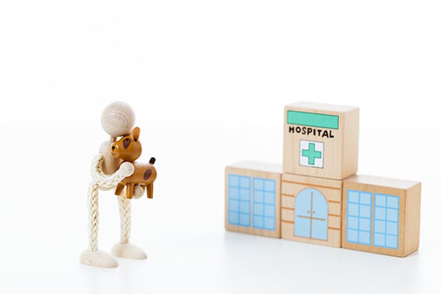 犬を抱きかかえる人と病院の模型