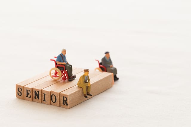 ミニチュアのシニア