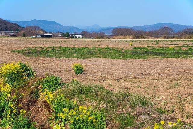 地価が上昇傾向にある地方の土地