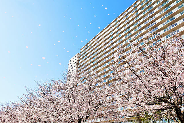 桜の咲く春に売り時を迎えたマンション
