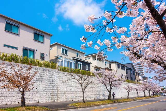 不動産売却が活発な桜の時季と住宅街