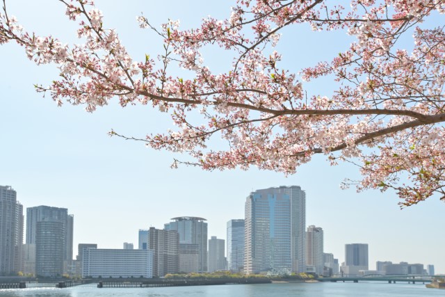 投資マンションと桜