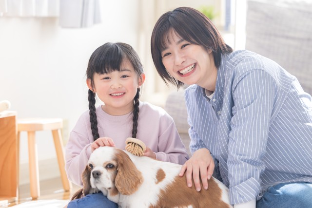 引越しした犬と親子