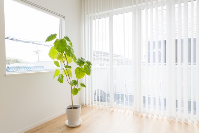 日当たりのよい部屋