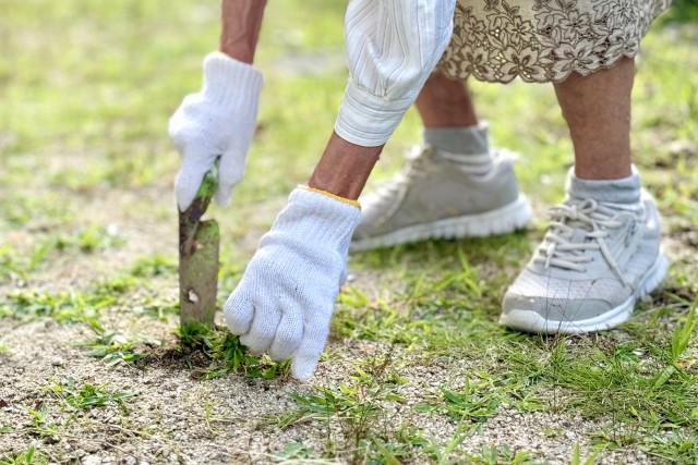 所有する土地の管理