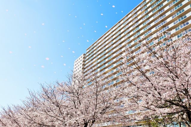 マンションの成約率が高くなる春