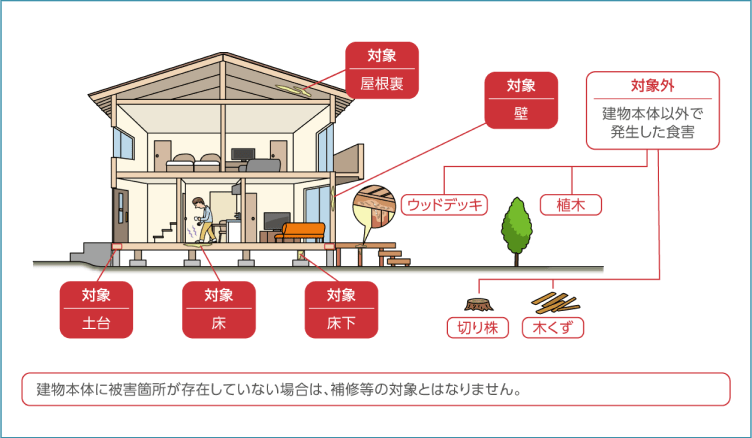 シロアリの害（屋根裏、壁、床、床下、土台）