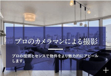 プロのカメラマンによる撮影