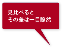 見比べるとその差は一目瞭然