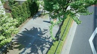 『家を売るって大変?』篇|TVCM30sec. 『家を売るって大変?』篇|TVCM30sec.