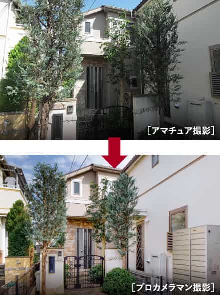プロカメラマンによる撮影 プロカメラマンによる撮影