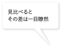 見比べるとその差は一目瞭然 見比べるとその差は一目瞭然