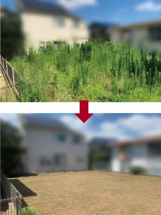 草刈り作業 草刈り作業