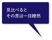 見比べるとその差は一目瞭然 見比べるとその差は一目瞭然