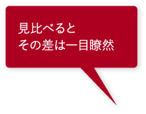 見比べるとその差は一目瞭然 見比べるとその差は一目瞭然